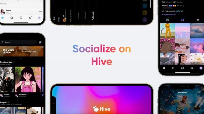 Socialise on Hive Banner on Homepage 