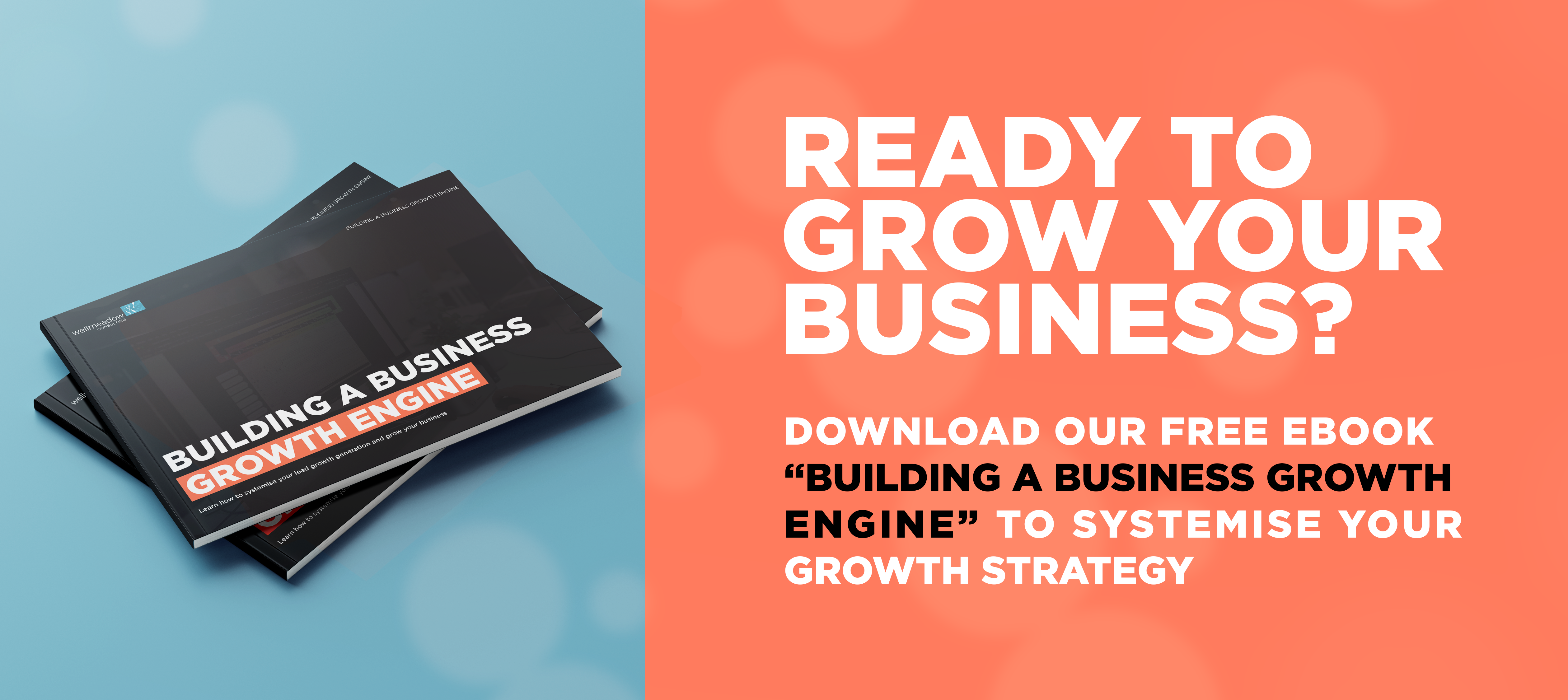 Download our free ebook "Building a business growth engine"